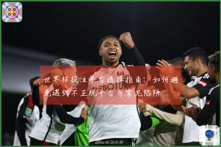 世界杯投注平台选择指南：如何避免遇到不正规平台与常见陷阱