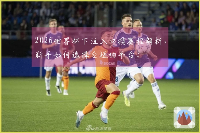 2026世界杯下注入口携赛程解析，新手如何选择合适的平台？