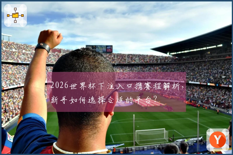 2026世界杯下注入口携赛程解析，新手如何选择合适的平台？